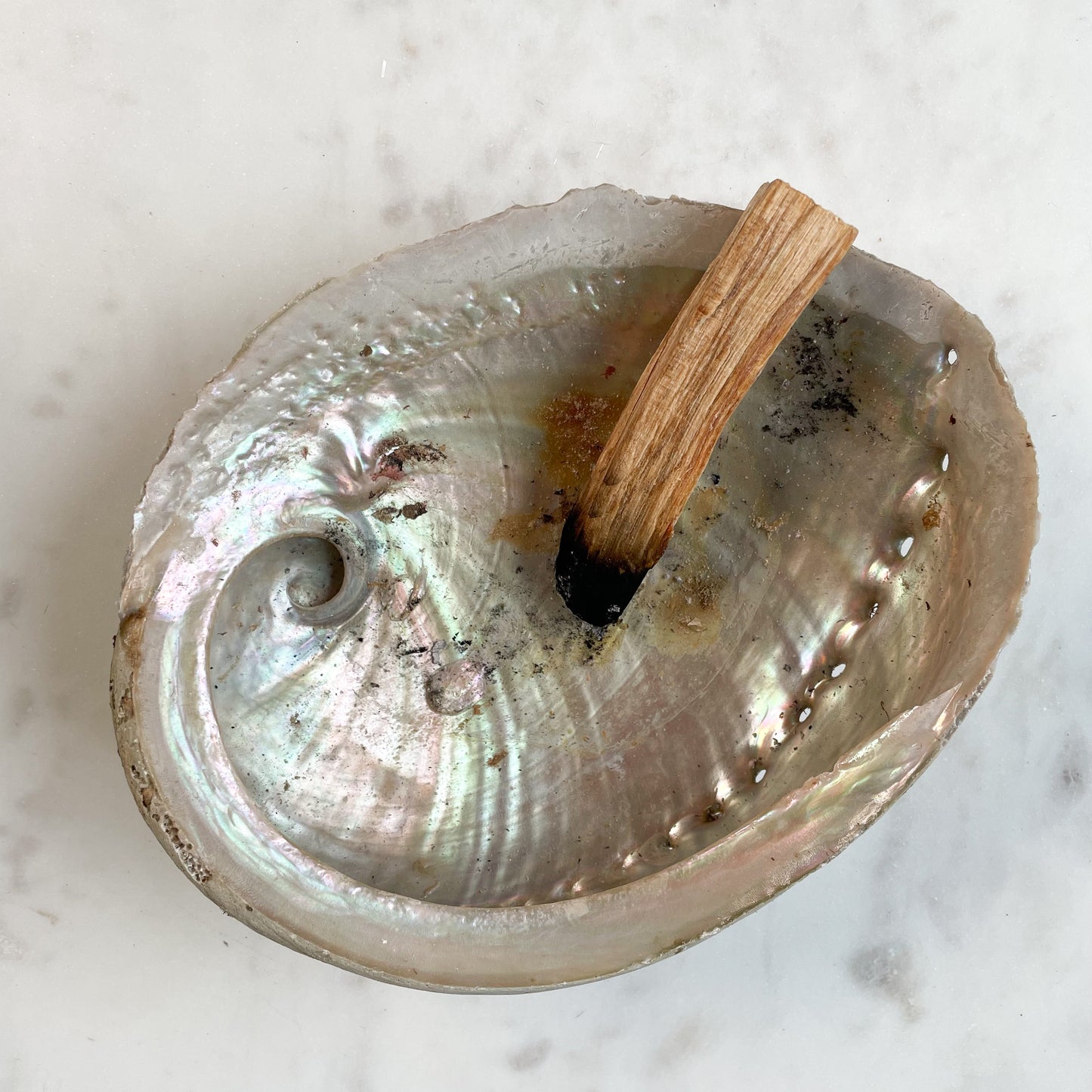 Abalonesnäcka för rökelser, palo santo och kristaller